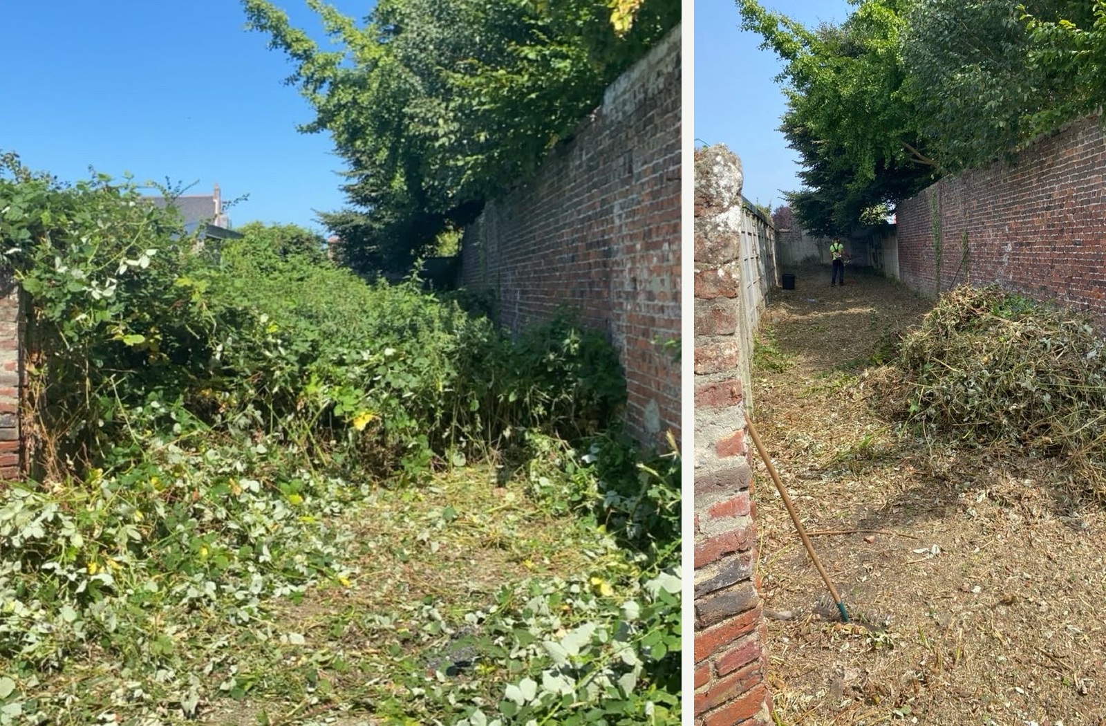 Chantier d'élagage et de remise en état