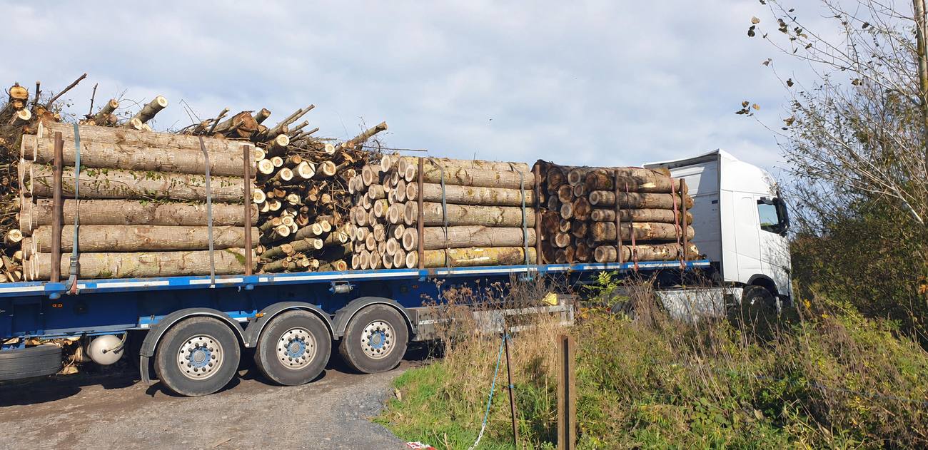 Chargement d'un camion plateau à destination de l'Italie pour la fabrication de contreplaqué