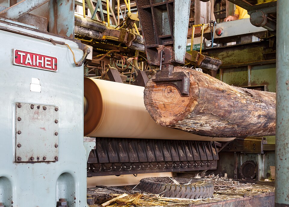 Déroulage d'une grume pour la fabrication de contreplaqué
