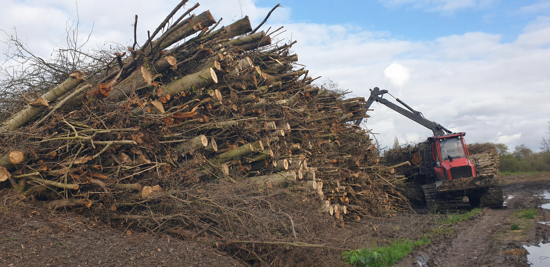 Forwarder forestier chargeant un tas de bois énergie en bordure de village
